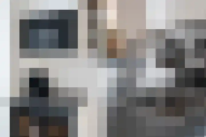 Piet van de Polsingel 114 Rotterdam thumbnail 24