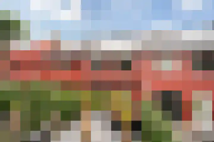 Piet van de Polsingel 114 Rotterdam thumbnail 29