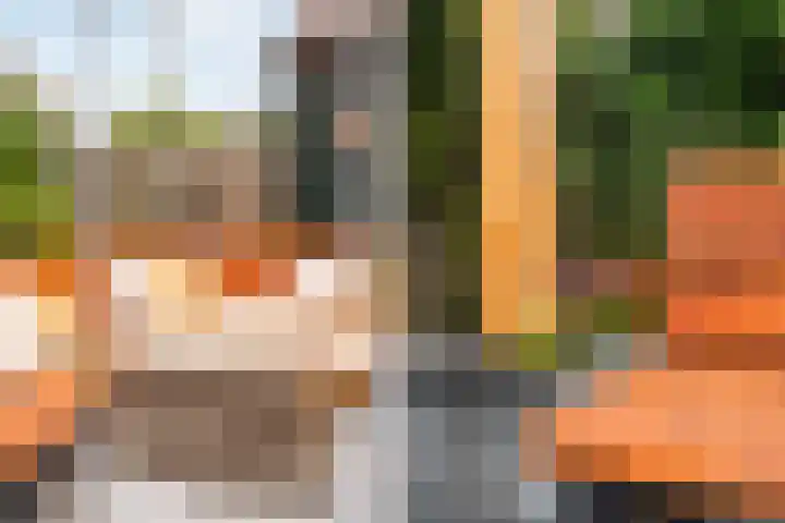 Piet van de Polsingel 114 Rotterdam thumbnail 34
