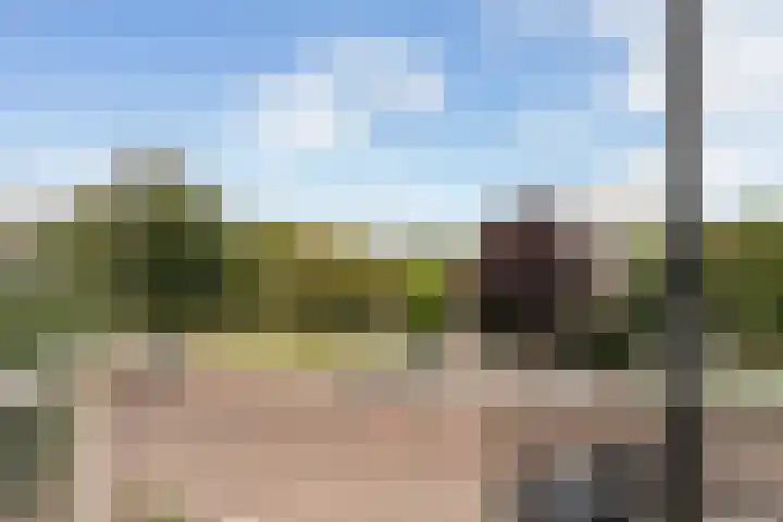 Piet van de Polsingel 114 Rotterdam thumbnail 38