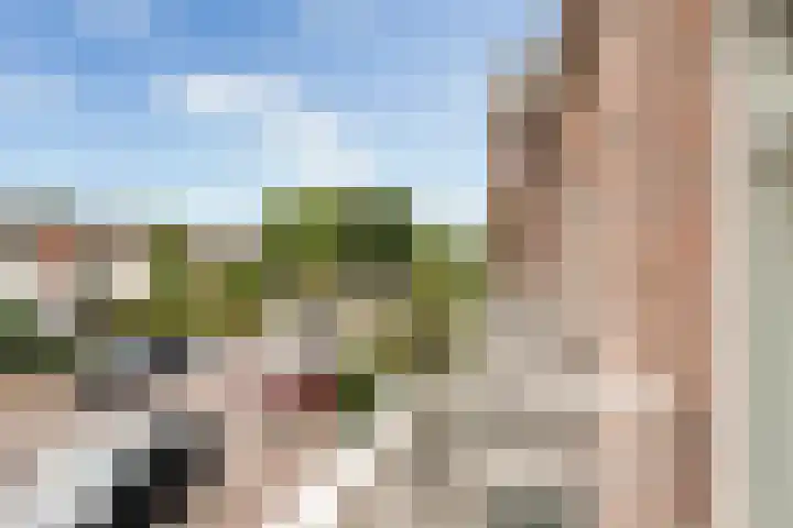 Piet van de Polsingel 114 Rotterdam thumbnail 39