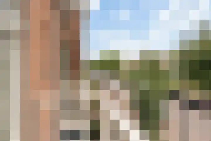 Piet van de Polsingel 114 Rotterdam thumbnail 40