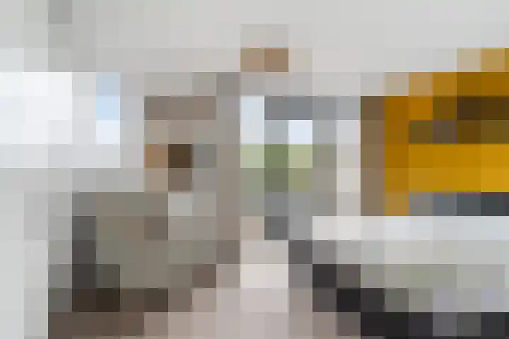 Piet van de Polsingel 114 Rotterdam thumbnail 41