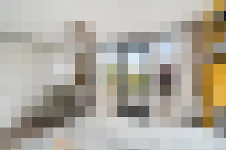 Piet van de Polsingel 114 Rotterdam thumbnail 42