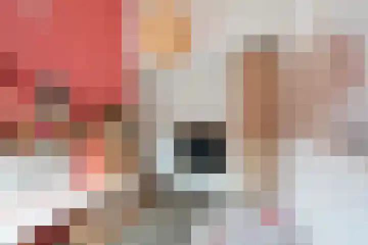 Piet van de Polsingel 114 Rotterdam thumbnail 47