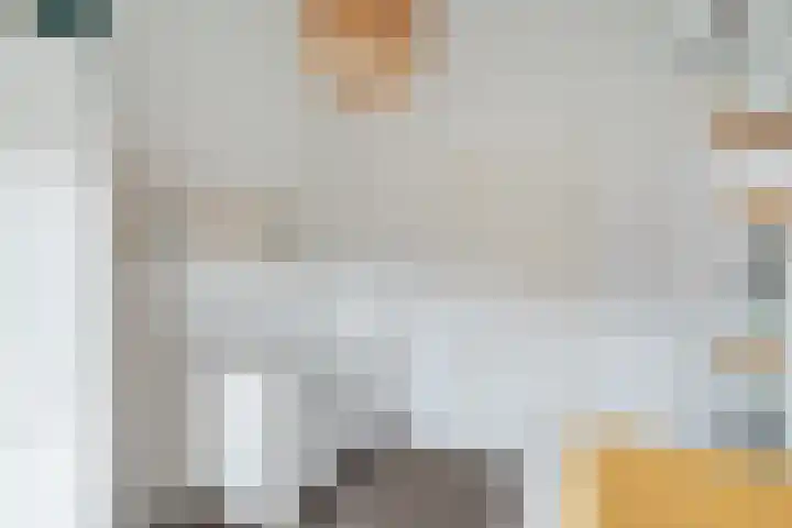 Piet van de Polsingel 114 Rotterdam thumbnail 49