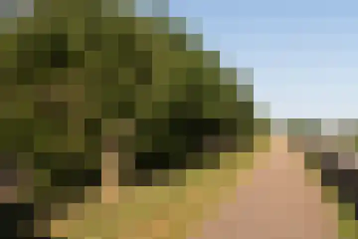 Piet van de Polsingel 114 Rotterdam thumbnail 59