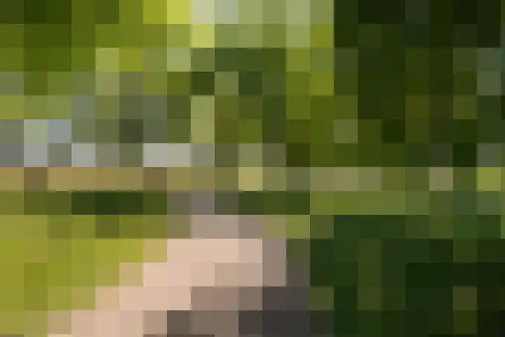 Piet van de Polsingel 114 Rotterdam thumbnail 61