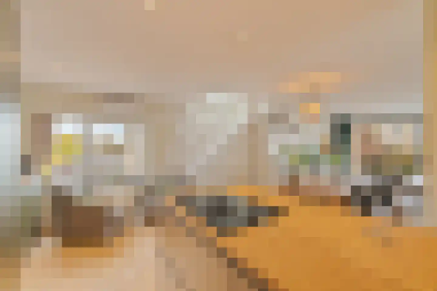 Piet van de Polsingel 161 Rotterdam thumbnail 14