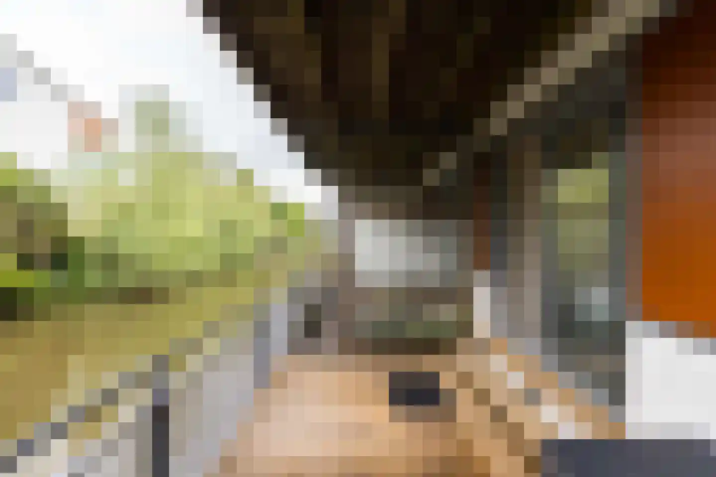 Piet van de Polsingel 161 Rotterdam thumbnail 34