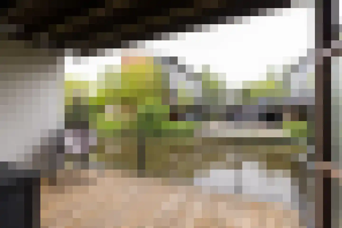 Piet van de Polsingel 161 Rotterdam thumbnail 34