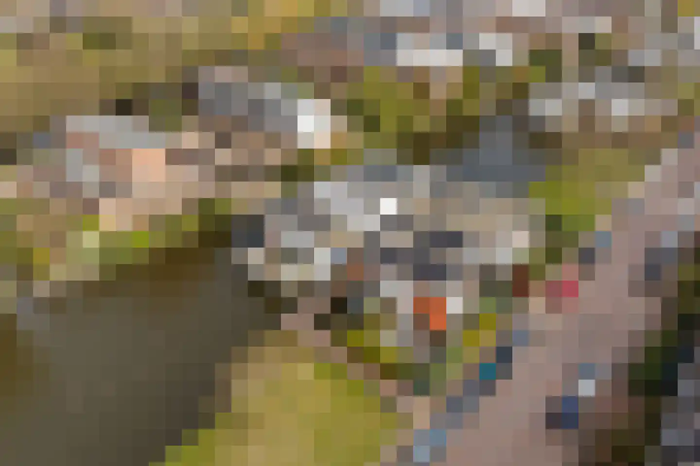 Piet van de Polsingel 161 Rotterdam thumbnail 38