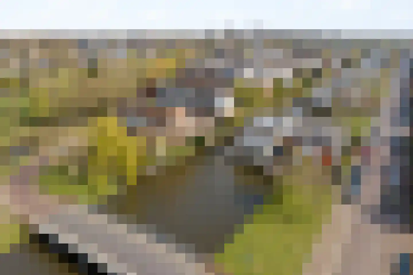 Piet van de Polsingel 161 Rotterdam thumbnail 39