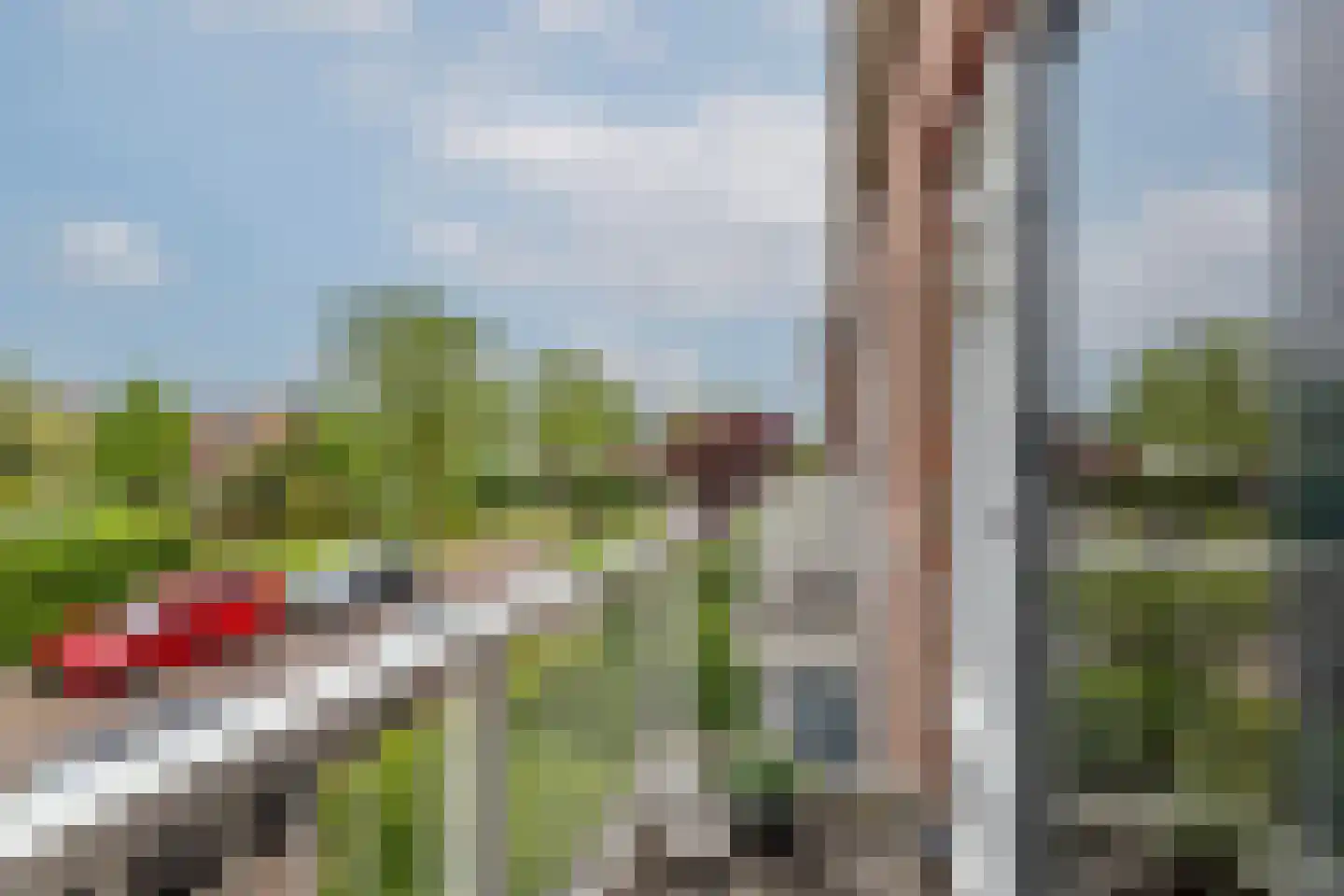 Piet van de Polsingel 172 Rotterdam thumbnail 15
