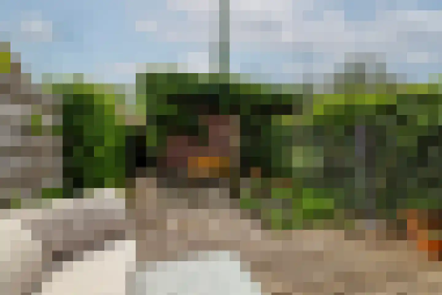 Piet van de Polsingel 172 Rotterdam thumbnail 28