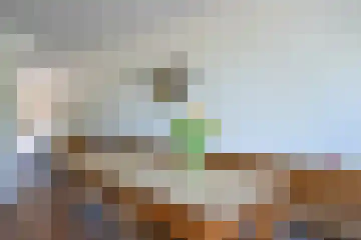 Piet van de Polsingel 230 Rotterdam thumbnail 17