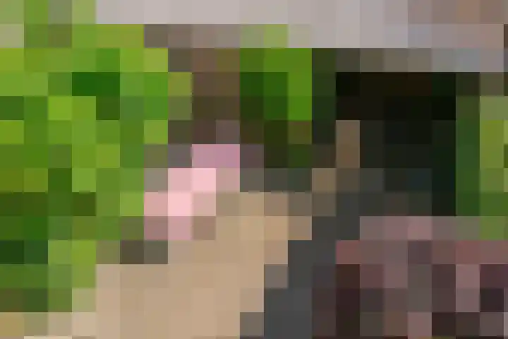 Piet van de Polsingel 230 Rotterdam thumbnail 18