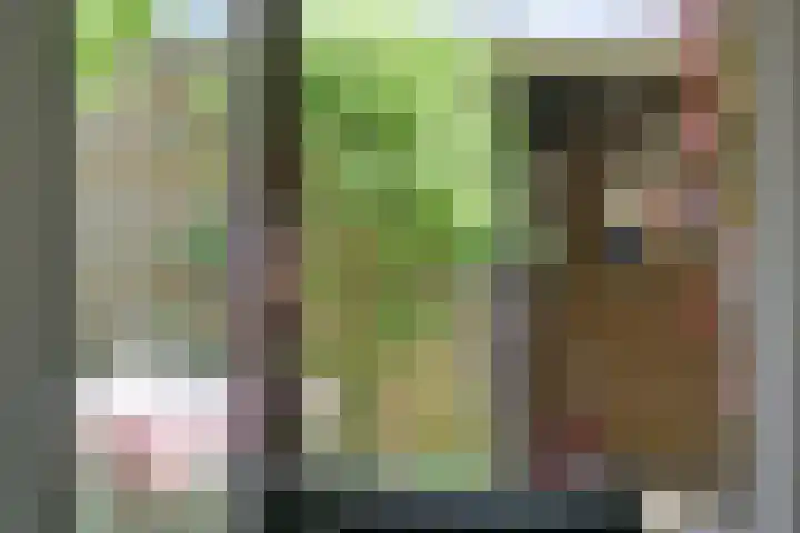 Piet van de Polsingel 230 Rotterdam thumbnail 19