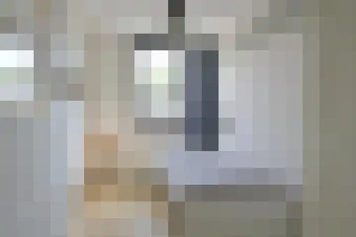 Piet van de Polsingel 230 Rotterdam thumbnail 23