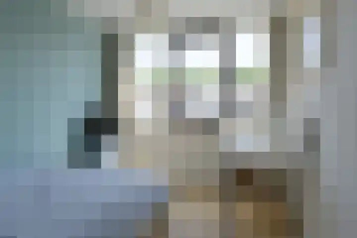 Piet van de Polsingel 230 Rotterdam thumbnail 24
