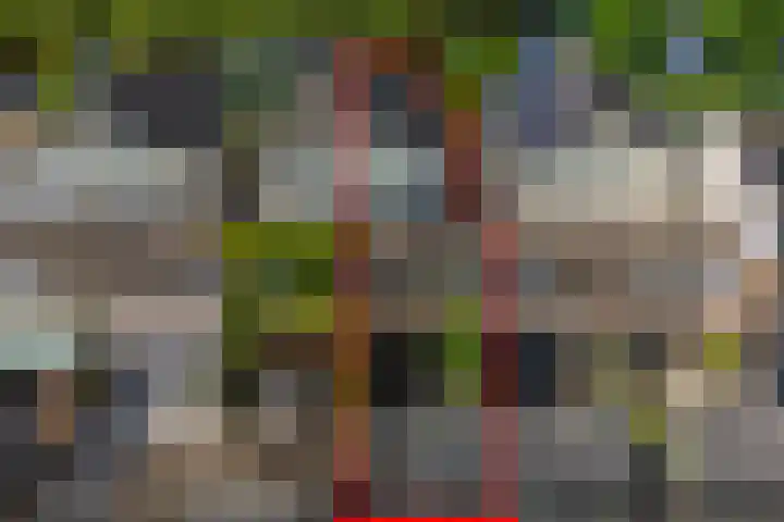Piet van de Polsingel 230 Rotterdam thumbnail 34