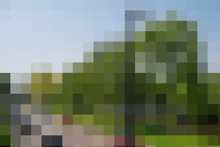 Piet van de Polsingel 230 Rotterdam thumbnail 35