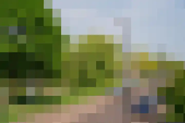 Piet van de Polsingel 230 Rotterdam thumbnail 36