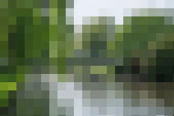 Piet van de Polsingel 230 Rotterdam thumbnail 38