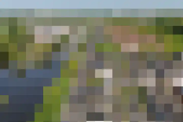Piet van de Polsingel 230 Rotterdam thumbnail 39