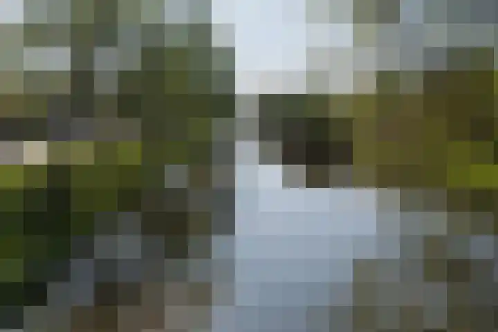 Piet van de Polsingel 230 Rotterdam thumbnail 4