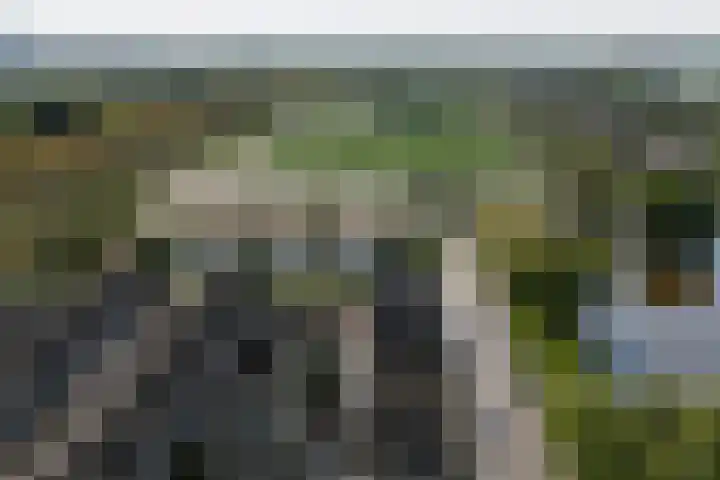 Piet van de Polsingel 230 Rotterdam thumbnail 40