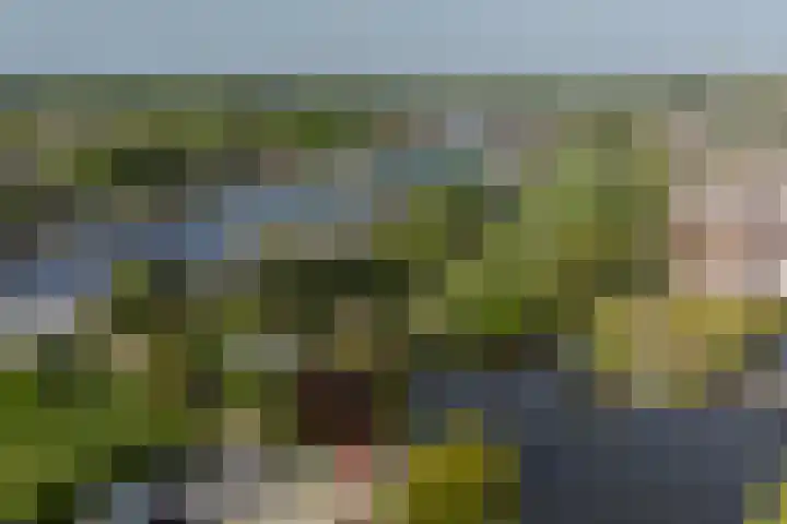 Piet van de Polsingel 230 Rotterdam thumbnail 42