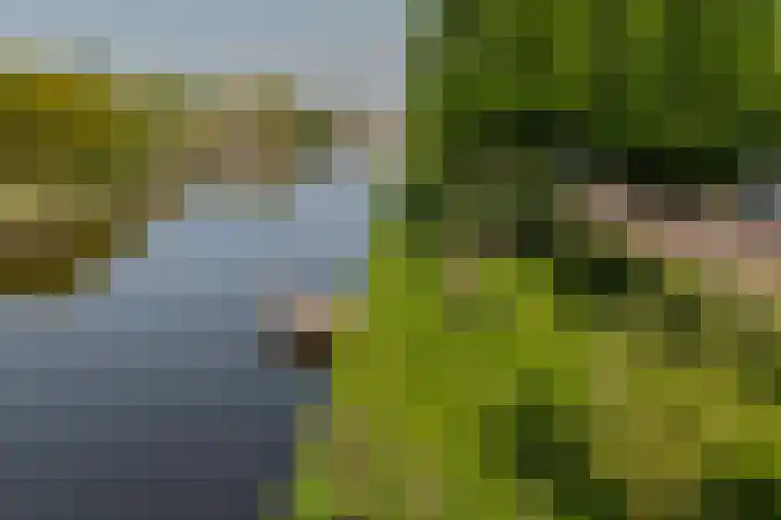 Piet van de Polsingel 230 Rotterdam thumbnail 43