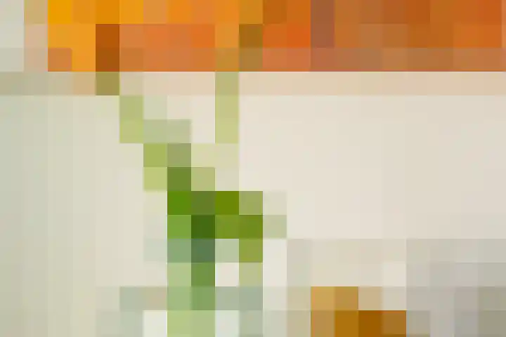 Piet van de Polsingel 230 Rotterdam thumbnail 9
