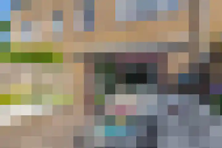 Piet van de Polsingel 262 Rotterdam thumbnail 10