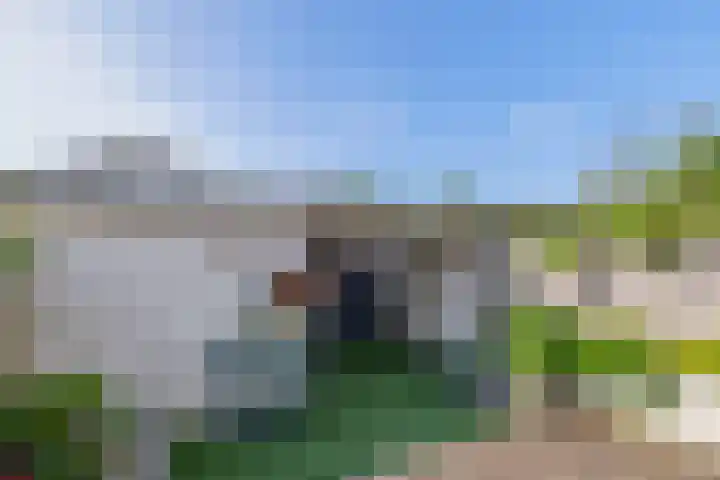 Piet van de Polsingel 262 Rotterdam thumbnail 11