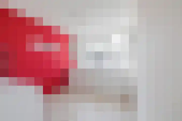 Piet van de Polsingel 262 Rotterdam thumbnail 29