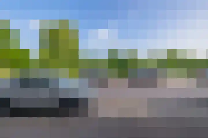 Piet van de Polsingel 262 Rotterdam thumbnail 30