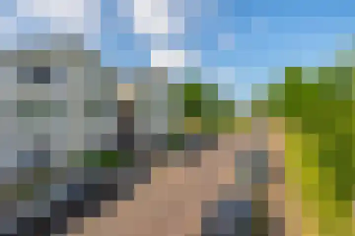 Piet van de Polsingel 262 Rotterdam thumbnail 36