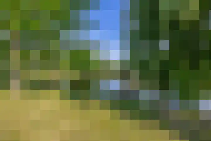 Piet van de Polsingel 262 Rotterdam thumbnail 37