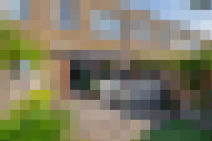 Piet van de Polsingel 262 Rotterdam thumbnail 4
