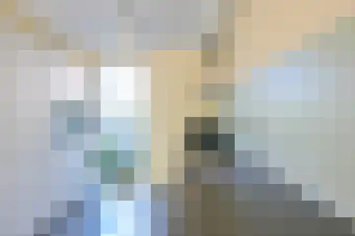 Piet van der Meerhof 30 Rotterdam thumbnail 10