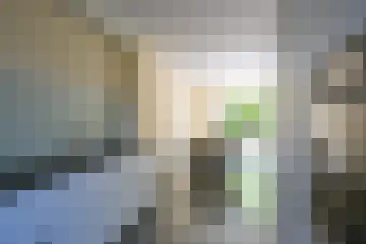 Piet van der Meerhof 30 Rotterdam thumbnail 12