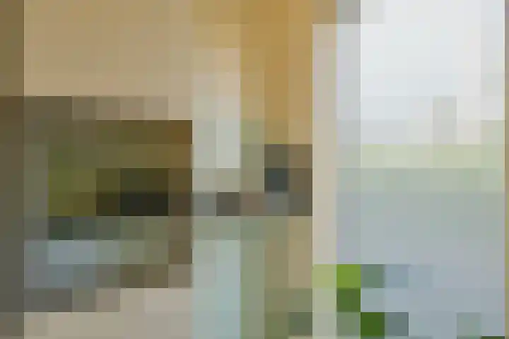 Piet van der Meerhof 30 Rotterdam thumbnail 13