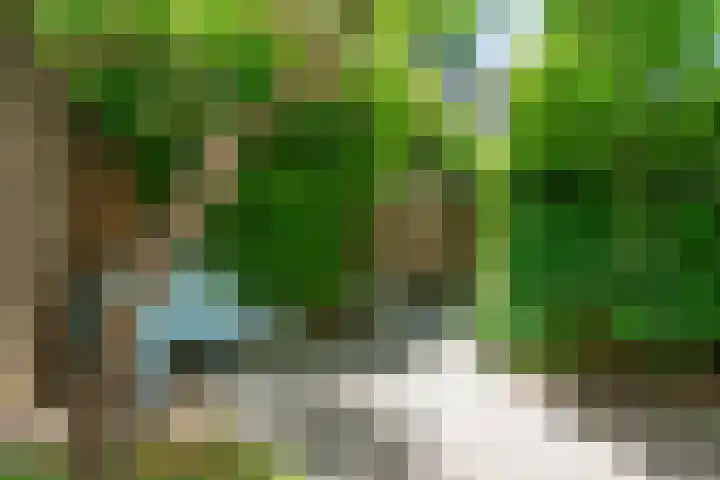 Piet van der Meerhof 30 Rotterdam thumbnail 16