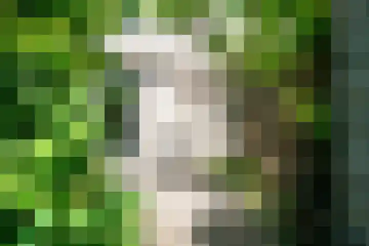 Piet van der Meerhof 30 Rotterdam thumbnail 17