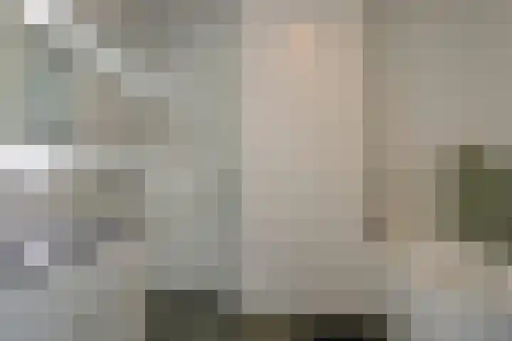 Piet van der Meerhof 30 Rotterdam thumbnail 23