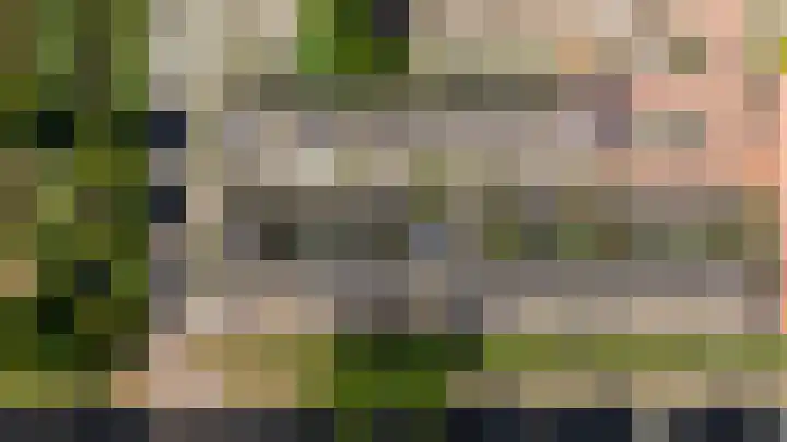 Piet van der Meerhof 30 Rotterdam thumbnail 36