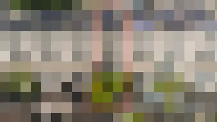 Piet van der Meerhof 30 Rotterdam thumbnail 37