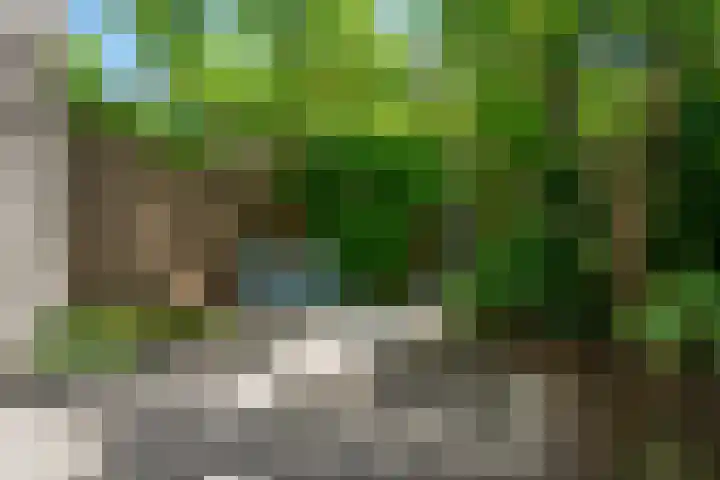 Piet van der Meerhof 30 Rotterdam thumbnail 4